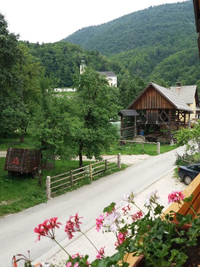 Apartma Momo Bohinj Eksteriør bilde